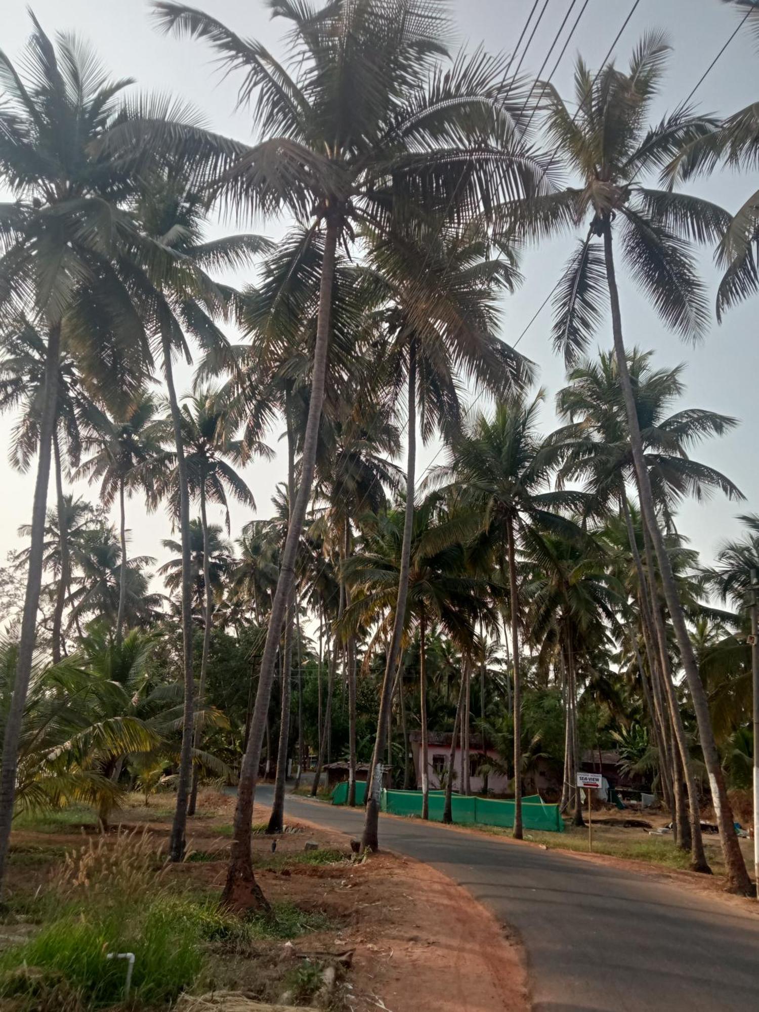 Beach Side Hotel Hangar Katte Buitenkant foto